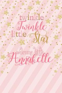 Pink with Gold Stars Welcome Sign